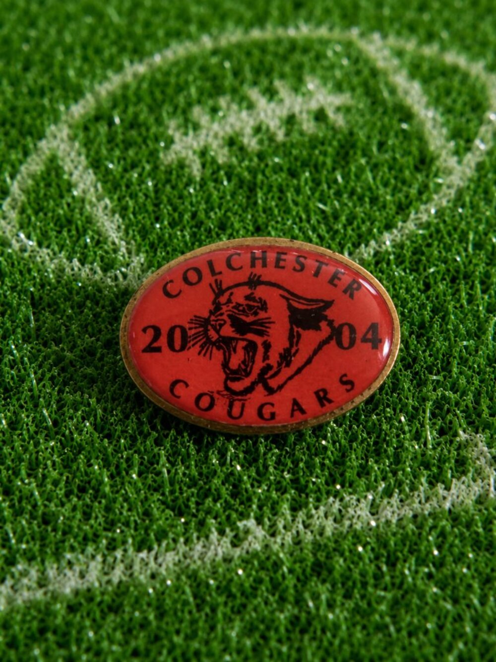 Colchester Cougars CT Connecticut Youth Football Vintage 2004 Team Lapel Pin